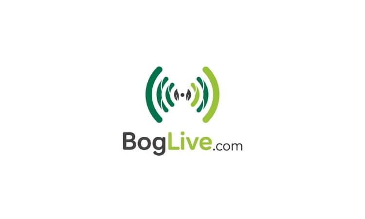 BogLive.com