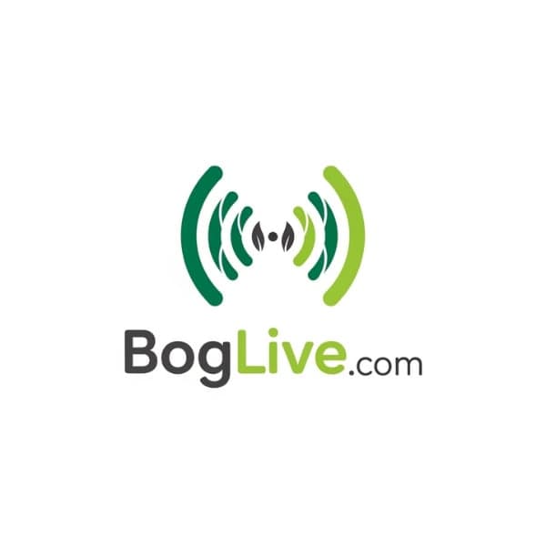 BogLive.com